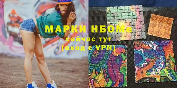 индика Няндома