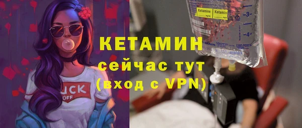 индика Няндома