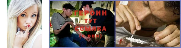 индика Няндома
