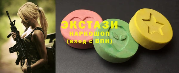 индика Няндома