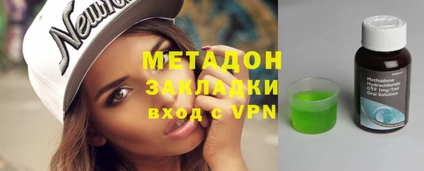 индика Няндома