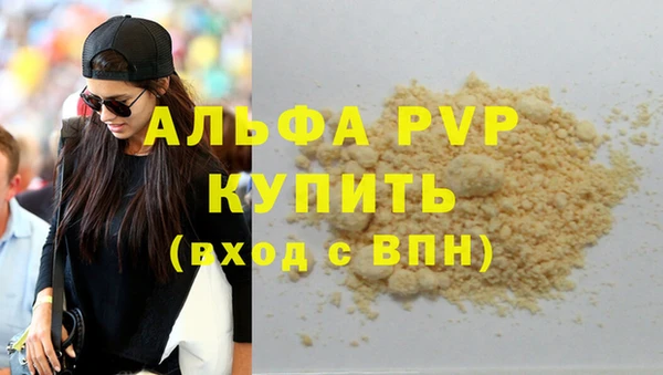 индика Няндома