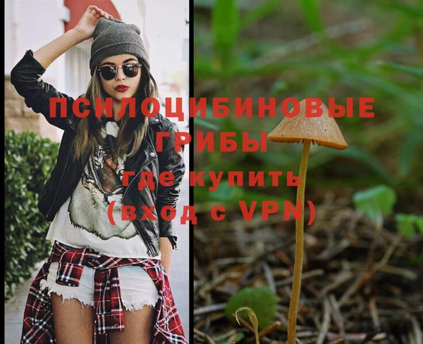mdpv Осинники